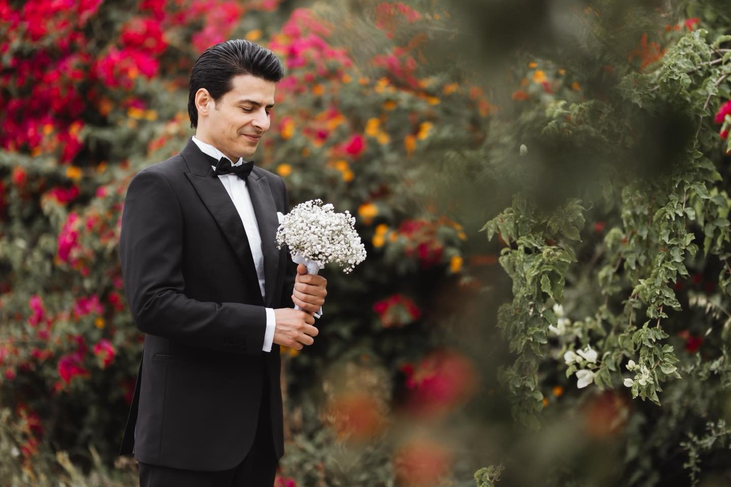 Portfolio Dalis Studio